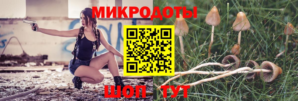 Галлюциногенные грибы прущие грибы Мурманск