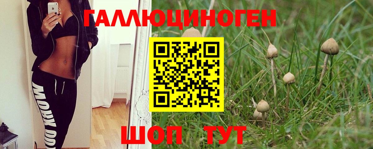 Псилоцибиновые грибы GOLDEN TEACHER  Псилоцибиновые грибы мицелий  Мурманск  закладка  Вход с VPN 